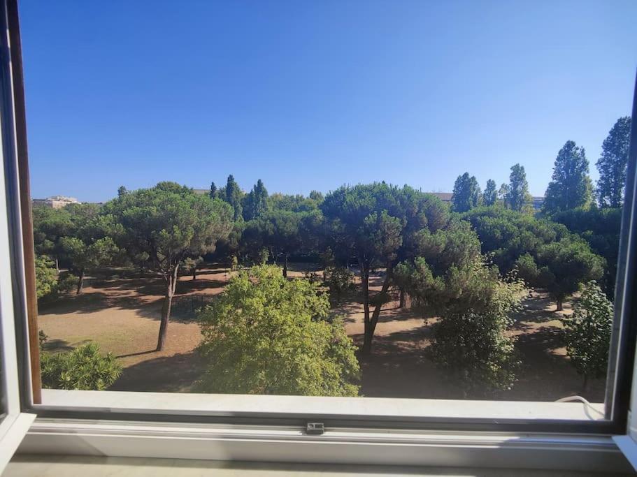 Culla Di Diego Box Auto, Sospesi Nel Cielo! Appartement Rome